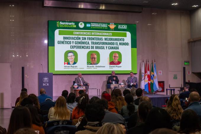 Alertan que la soja necesita ampliar su diversidad genética para seguir aumentando los rindes