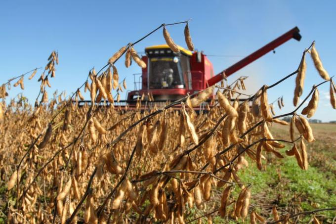 La soja se disparó en Chicago: subió más de US$17 por clima adverso y expectativas de compras de China