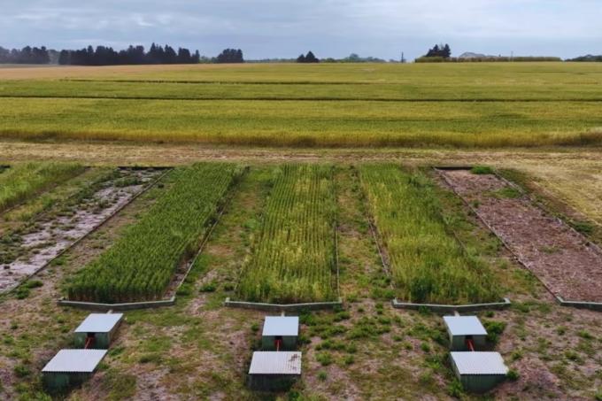 Recurso estratégico avanzan con prácticas de manejo que reducen hasta un 54% las pérdidas de suelo