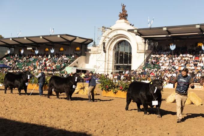 La Rural 2026 abre sus puertas con foco en genética, innovación y nuevos negocios para el agro