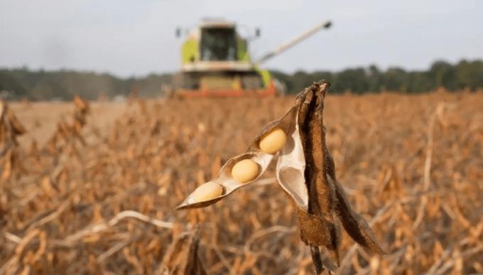 Competitividad: qué necesita Argentina para ganar mercado en las exportaciones de maíz y soja