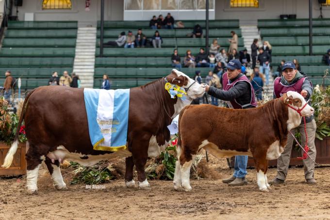 Gran Campeón Hembra para "El Aljibe" en la Exposición Rural de Palermo