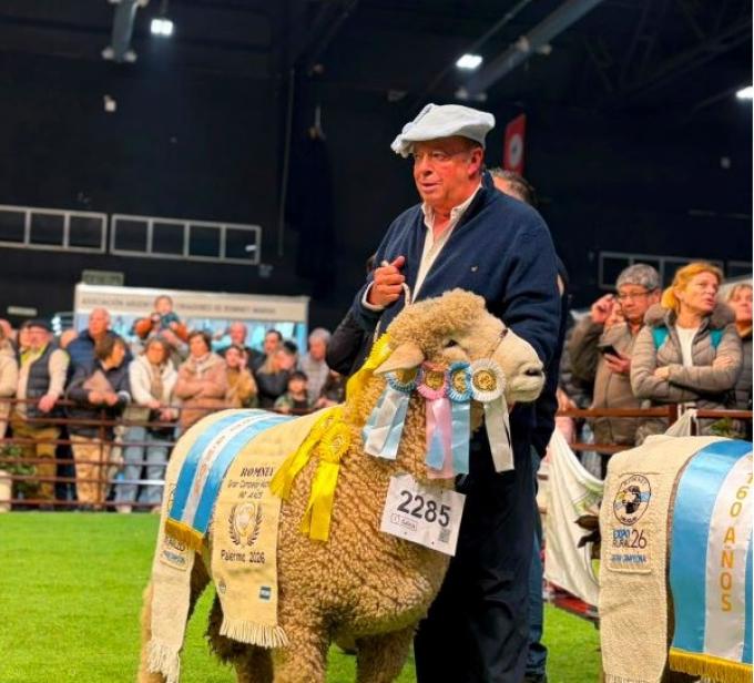 Una cabaña de Corrientes ganó el Gran Campeón Romney Marsh en Palermo