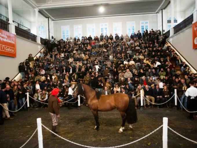 Récord en Palermo: pagan $150 millones por el 90% de un Caballo Criollo