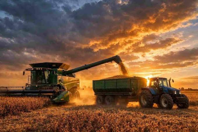 La cadena agropecuaria creció 3% en junio y marcó un nuevo récord de actividad