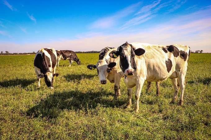 El INTA alertó sobre El Niño y pidió preparar los tambos antes de la primavera