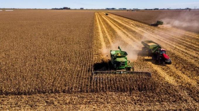 La cosecha de maíz avanzó al 69,8% y se mantiene la proyección de 64 millones de toneladas
