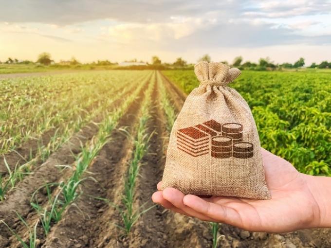 La economía se mantuvo por encima del nivel de diciembre gracias al impulso del agro