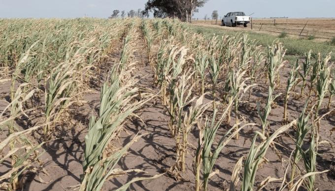 Córdoba: Julio dejó lluvias escasas y una recarga hídrica limitada para los cultivos