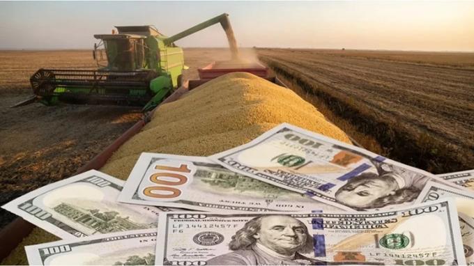 La liquidación de dólares del agro cayó 16% entre enero y julio de 2026