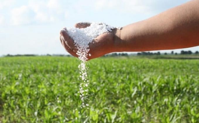 La suba de los fertilizantes le costó USD 180 millones extra al agro argentino