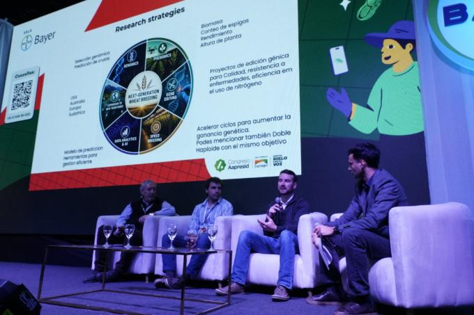 Trigos híbridos, edición génica y genotipos: las nuevas apuestas para cerrar brechas de rendimiento