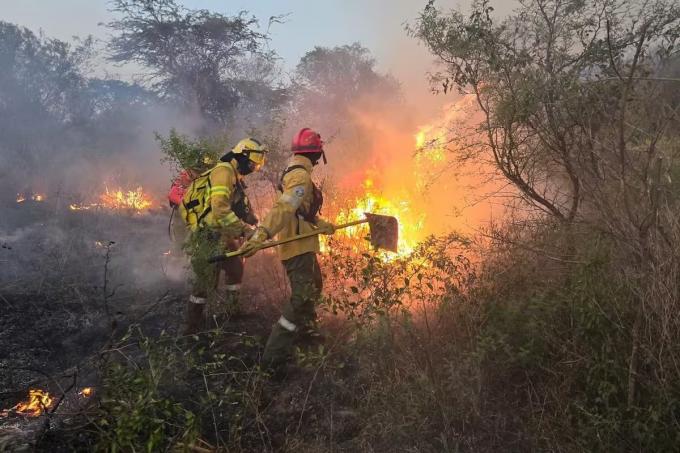 El campo pidió reabrir el debate por la Ley de Manejo del Fuego tras el retiro del proyecto de propiedad privada
