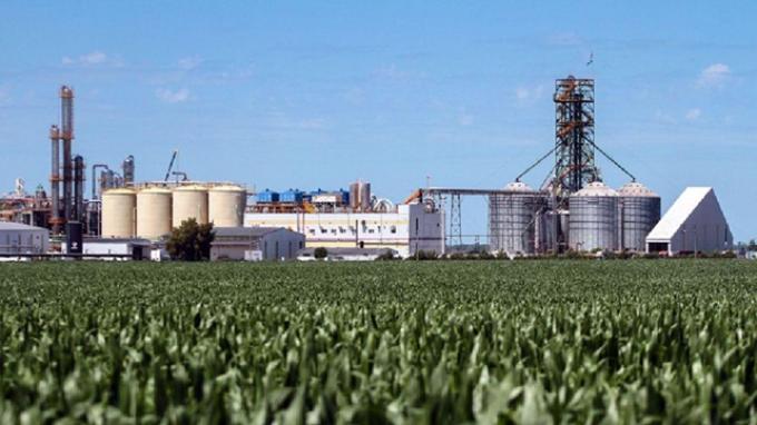 Biocombustibles: la nueva ley que puede cambiar el destino de la soja y el maíz