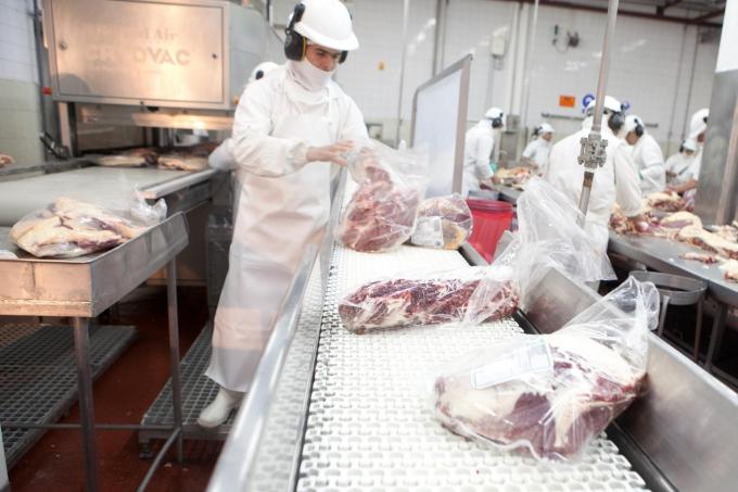 Exportaciones de carne bovina crecieron 10% en el semestre
