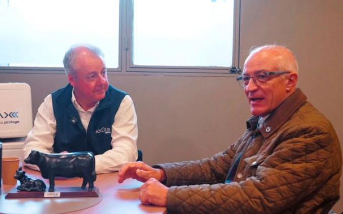 De Palermo al rodeo: cómo la genética Angus impacta en todo el país