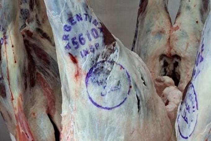 Las exportaciones de carne ovina crecieron 34% en el primer semestre