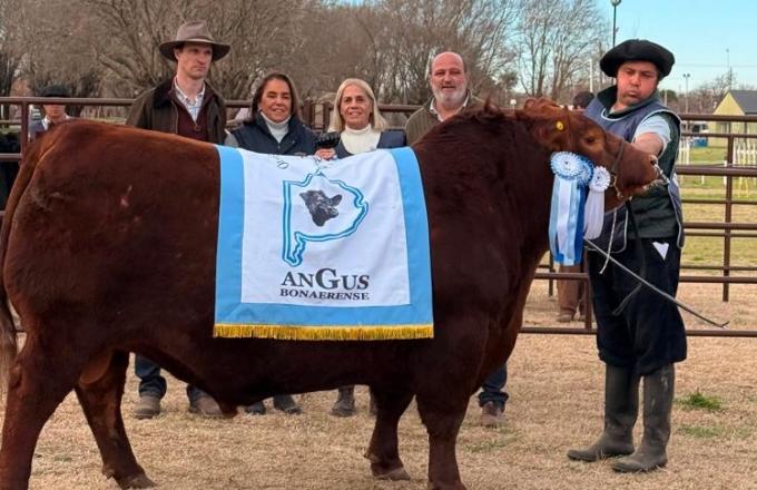 Angus en Trenque Lauquen: todos los grandes campeones