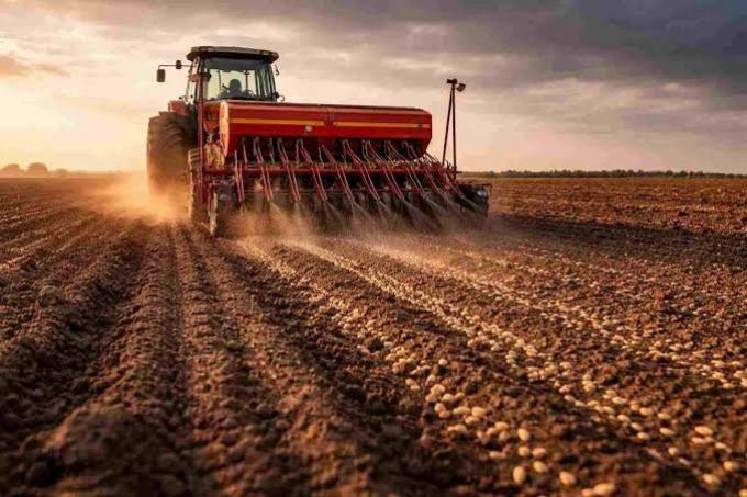 Siembra de trigo: el avance llegó al 99,8% y persisten excesos de humedad
