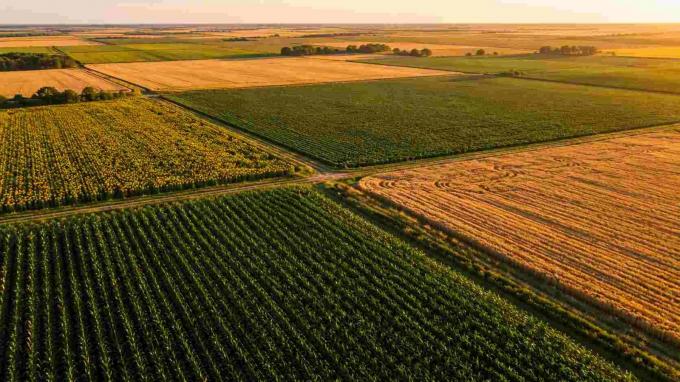 Agricultura argentina: qué cambió en 10 años y qué cultivos ganaron