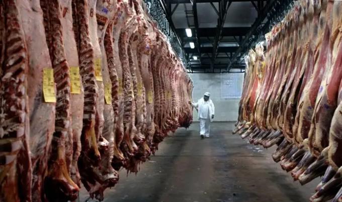 Las exportaciones de carne bovina crecieron 37% y generaron USD 2.676 millones en el primer semestre de 2026
