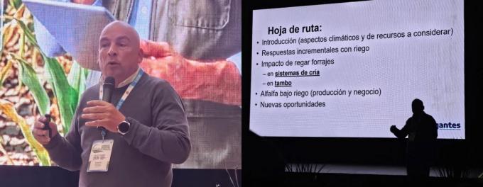 Riego en ganadería: cómo reducir el riesgo y sostener la producción