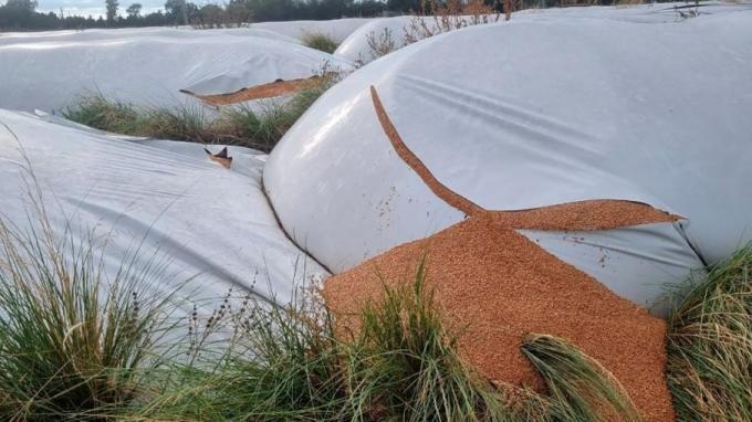 Vandalismo rural: fuerte respaldo al proyecto en Diputados