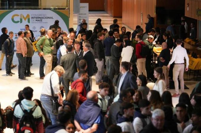 Maíz: Córdoba prepara un Congreso clave ante El Niño y la chicharrita
