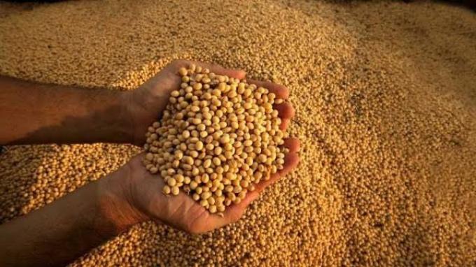 Maíz, trigo y soja: precios a cosecha alcanzan máximos