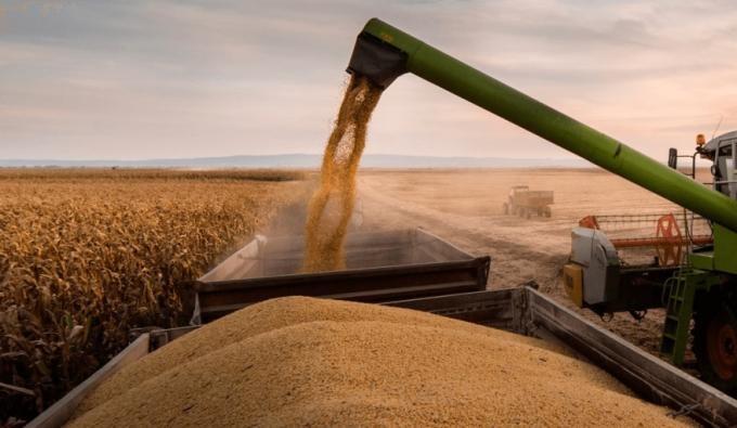 La cadena agropecuaria crece 12% y queda cerca de su récord histórico