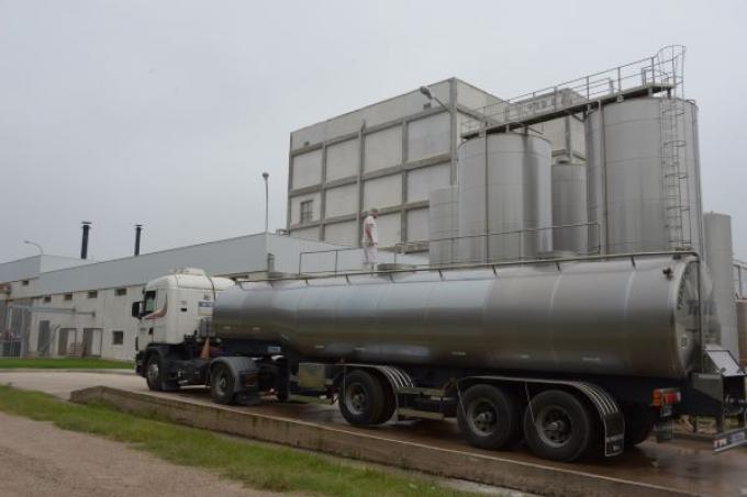 Récord lácteo: las exportaciones llegaron a 1.835 millones de litros
