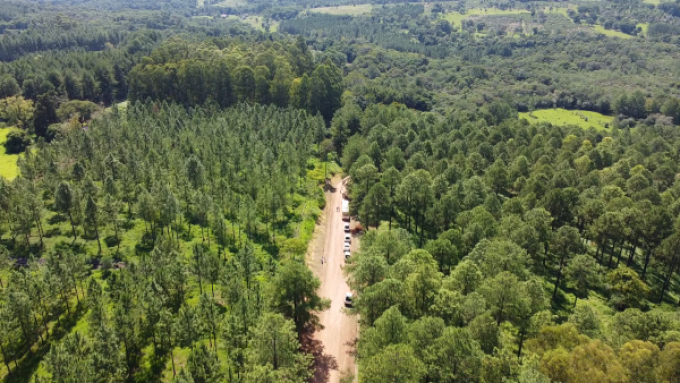 Caminos rurales: cómo prevenir daños ante las lluvias de El Niño