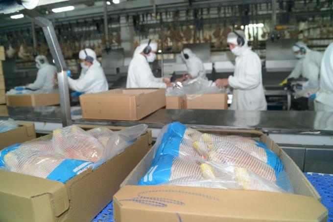Argentina reabre el mercado de Japón para la carne aviar