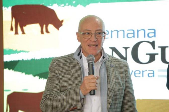 Angus se expande: récord exportador y gran muestra ganadera