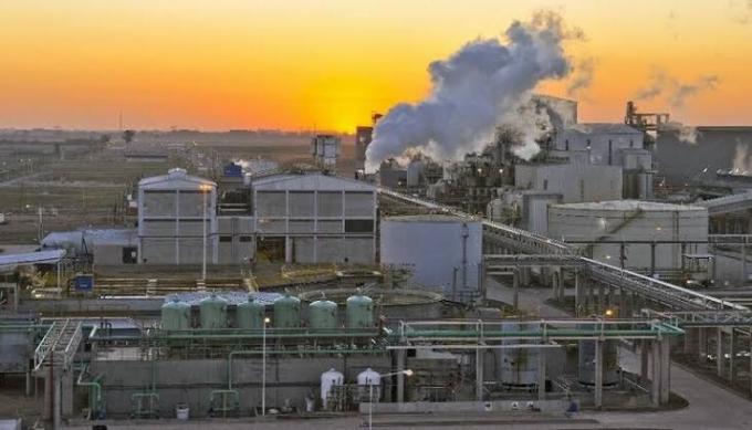 Biodiesel en Argentina: producción estancada y récord global