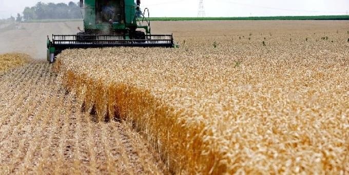 El agro proyecta 155,8 Mt y un récord de US$ 42.200 millones