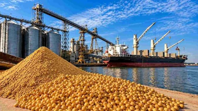 Soja en Argentina: cómo se comercializa y hacia dónde va el grano