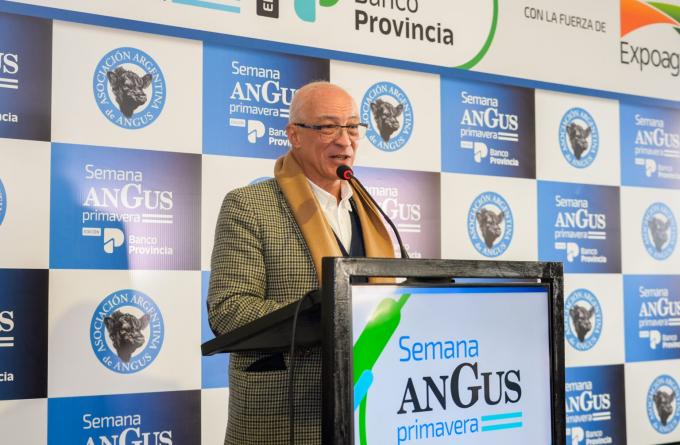 Carne Angus Argentina: genética y negocios en Cañuelas