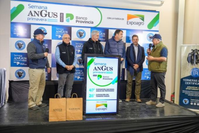 Angus de Primavera: Monasterio Tattersall vendió 4.500 cabezas en tiempo récord