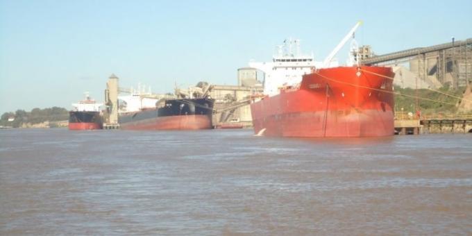 Soja: el precio argentino gana competitividad frente a EE.UU. y China vuelve a ser clave