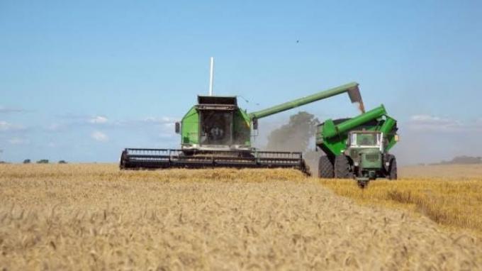 Exportaciones de trigo: septiembre marcó un récord