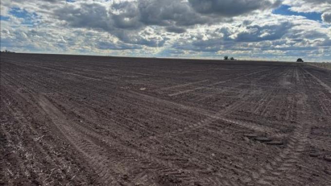 Siembra directa: cayó al 80,6% el área agrícola en 2025/26
