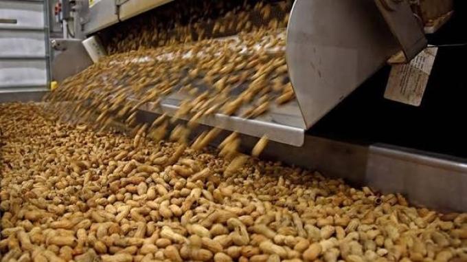 Brasil amplía su ventaja sobre Argentina en molienda de oleaginosas