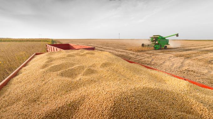 Harina de soja argentina: logra una prima de US$6 por la demanda europea