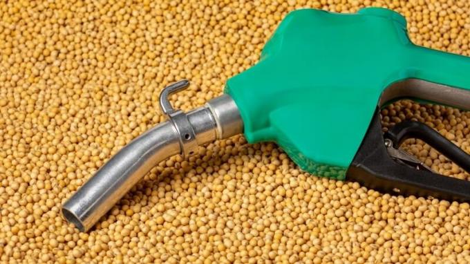 Biocombustibles: el nuevo motor que cambia el mercado de la soja y el maíz