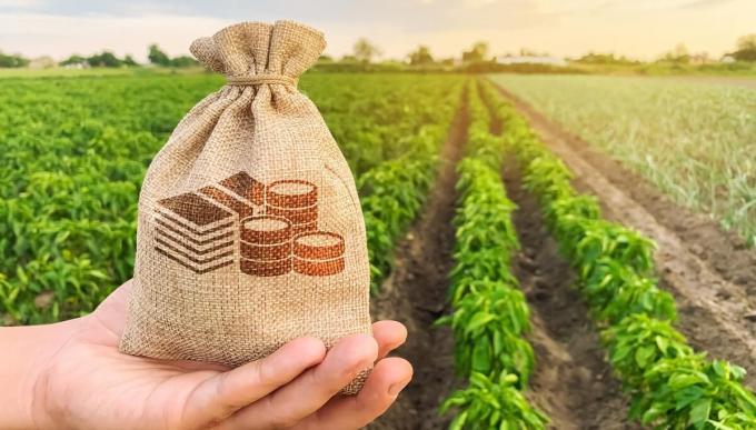 Campaña 2026/27: cuánto cuesta financiarse para producir en el campo