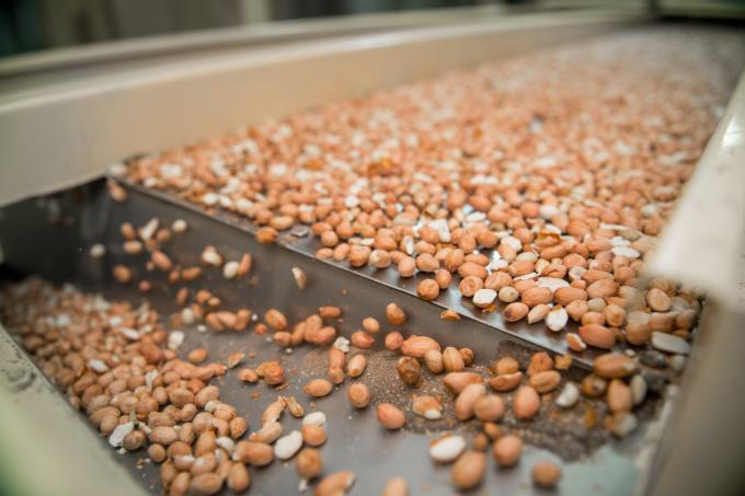 Exportaciones agroindustriales: Argentina bate récord con 88,9 millones de toneladas