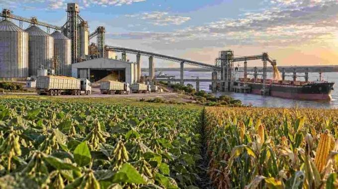 Argentina puede ganar terreno en las exportaciones agroindustriales hacia 2035