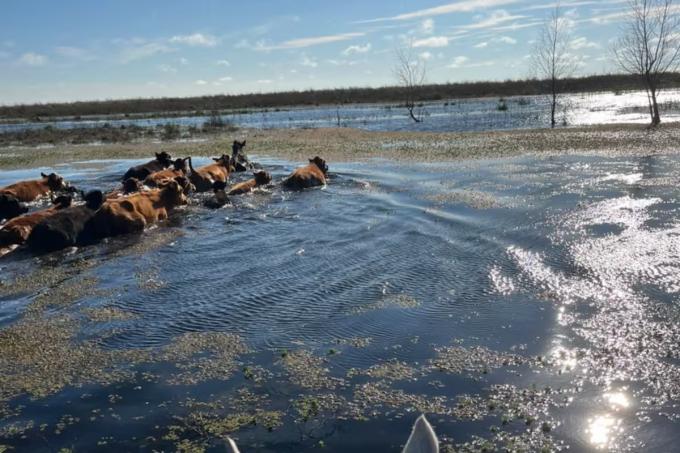 El Niño golpea al campo y crece el reclamo por las retenciones