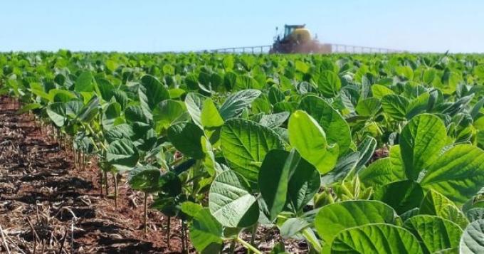 Comenzó la siembra de soja temprana en Santa Fe: prevén 1,1 millones de hectáreas